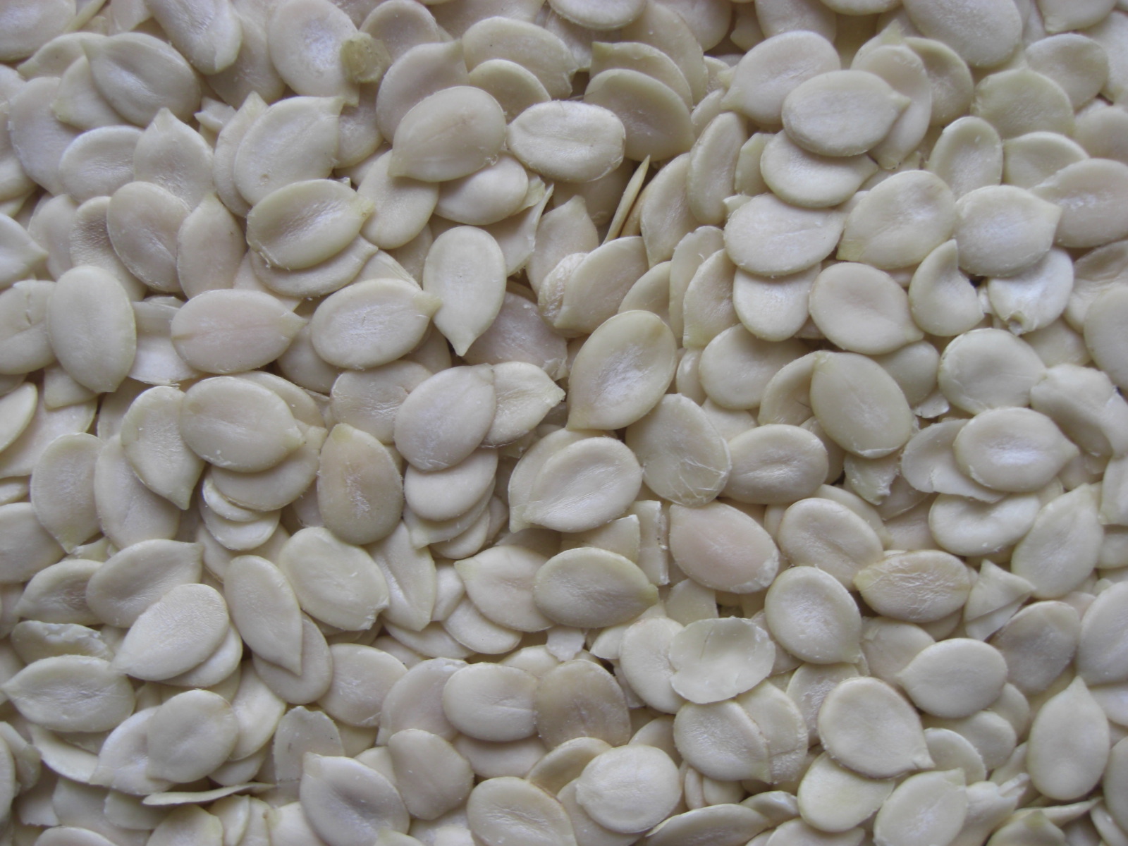 black melon seeds chinese new year